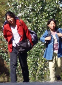 国产一区二区香蕉